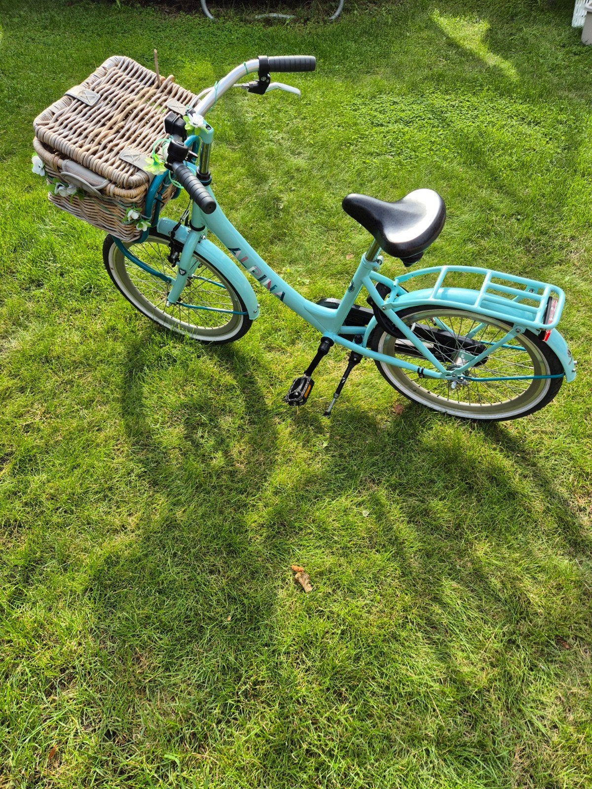 Alpina Clubb kinderfiets 20 inch met mandje, Ophalen, 20 inch of meer, Gebruikt, Velgrem