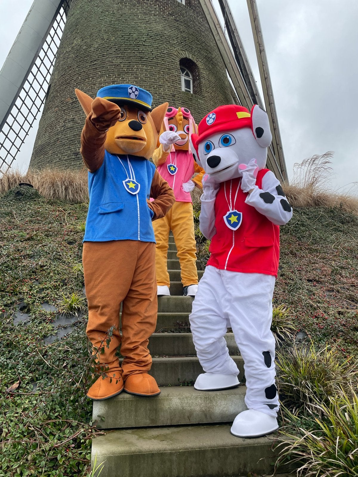 TE HUUR mascotte pakken Paw Patrol, Hobby en Vrije tijd, Ophalen, Verjaardag