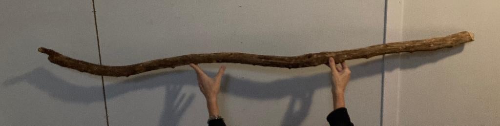 Decoratieve boomstam om bv. lamp aan te bevestigen 178 cm, Ophalen, Zo goed als nieuw, Hout, Minder dan 50 cm