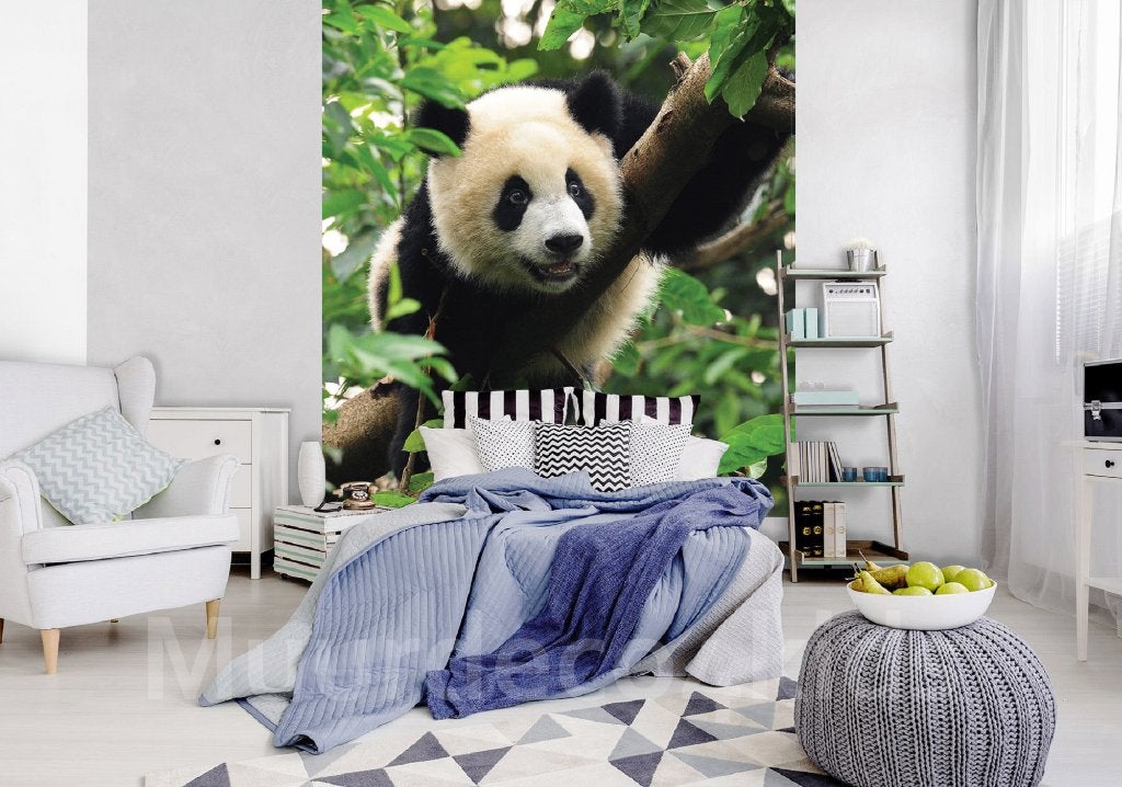 Jungle fotobehang Panda L1, Pandabeer behang, Muurdeco4kids, Verzenden, Fotobehang, 5 tot 10 m²