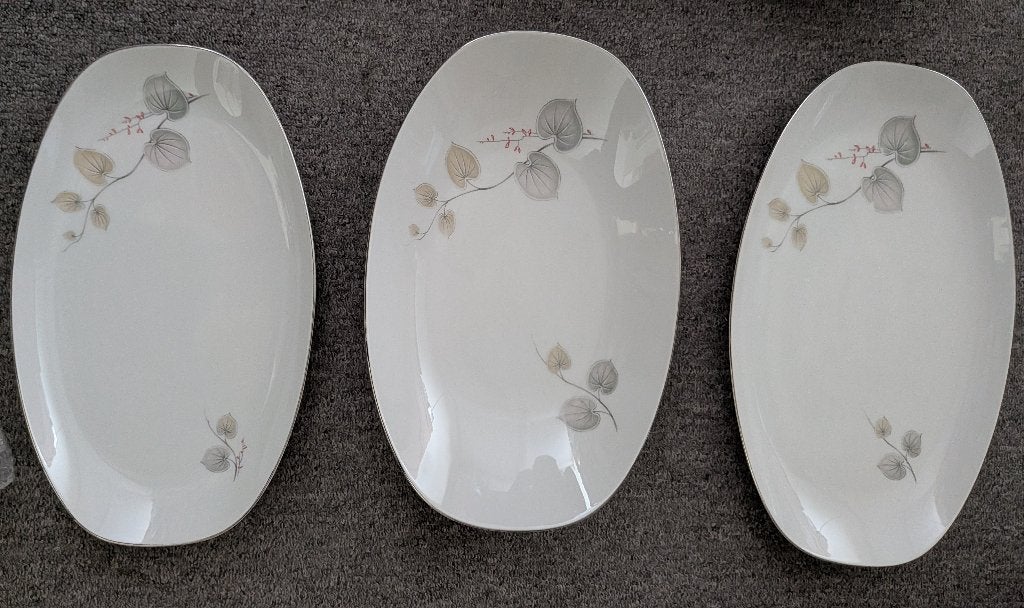 Servies vintage, Ophalen, Arzberg, Vintage, Zo goed als nieuw