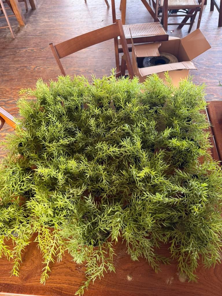40 kunstplantjes van de ikea, Tuin en Terras, Ophalen, Volle zon, Overige soorten, Minder dan 100 cm