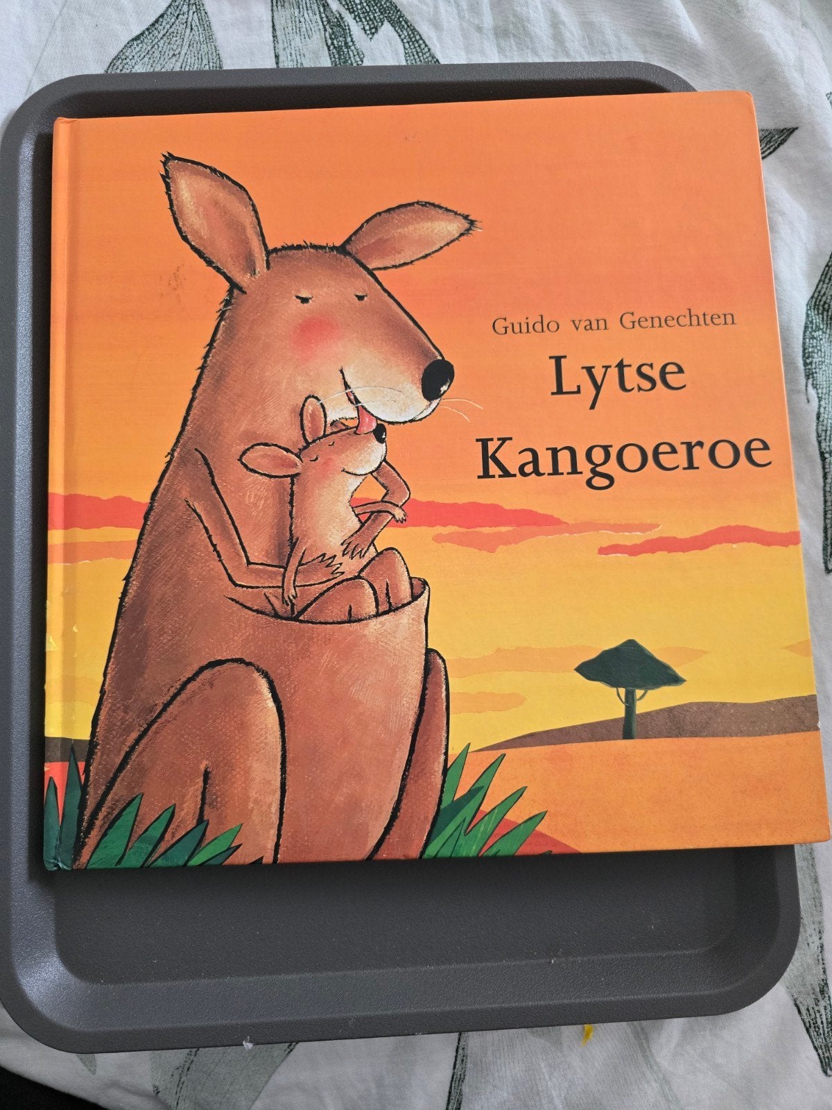 Lyts Kangoeroe - Guido van Genechten (Fries), Gelezen, 3 tot 4 jaar, Ophalen of Verzenden, Uitklap-, Voel- of Ontdekboek