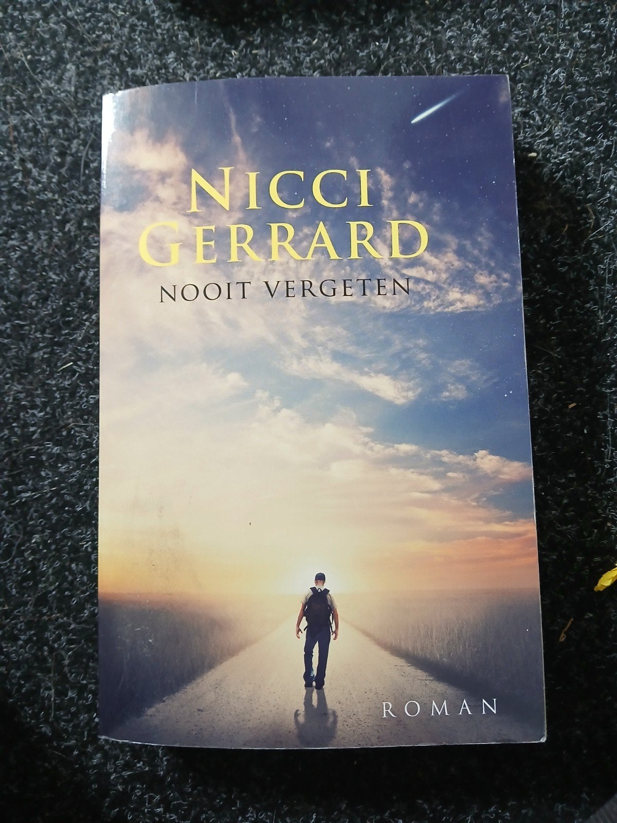 Nicci Gerrard - Nooit vergeten, Ophalen of Verzenden, Gelezen, Nicci Gerrard