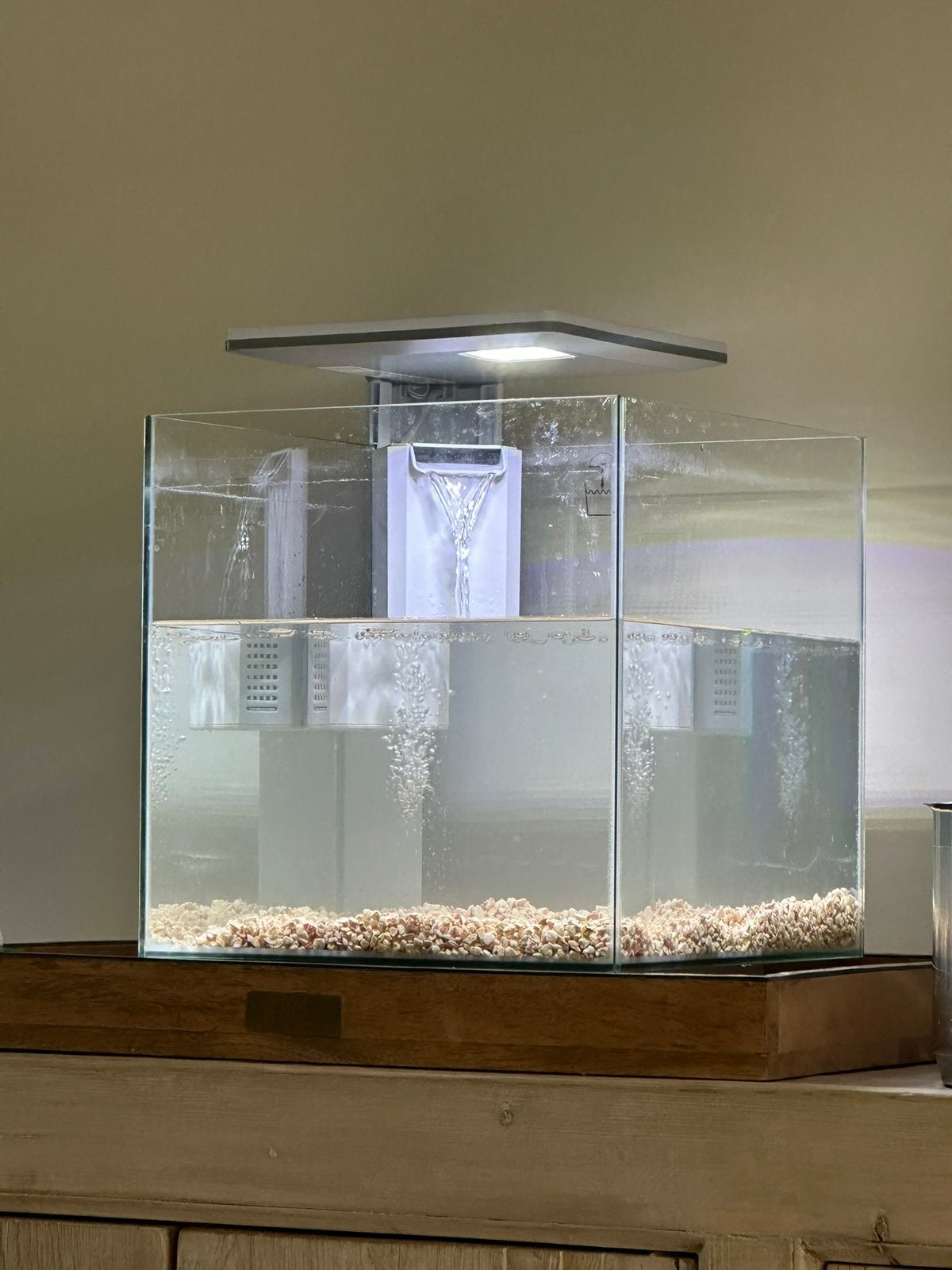 Aquarium, Dieren en Toebehoren, Spin of Schorpioen
