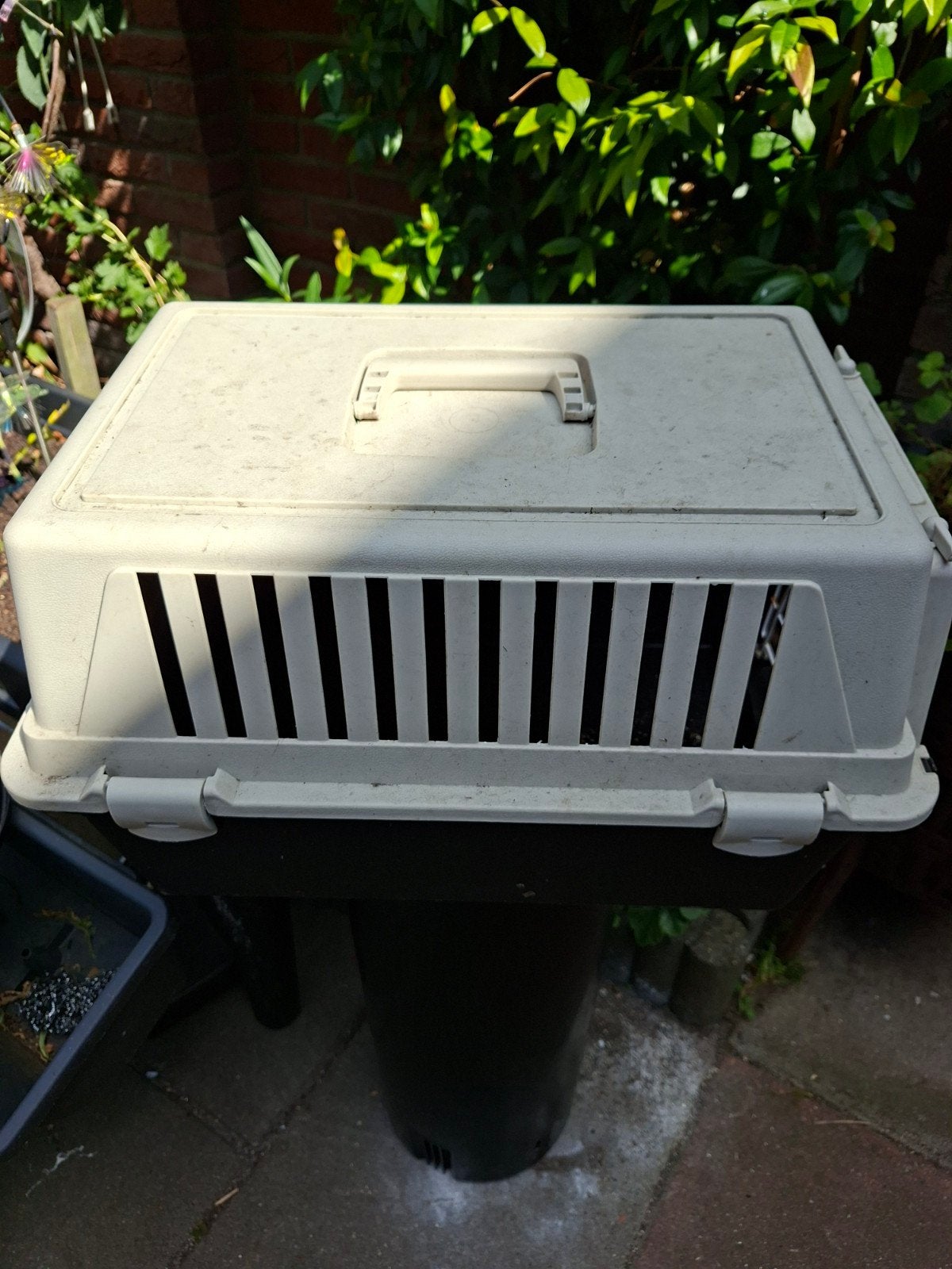 GRATIS AFHALEN, Dieren en Toebehoren, Ophalen, Gebruikt, Minder dan 75 cm, Minder dan 65 cm