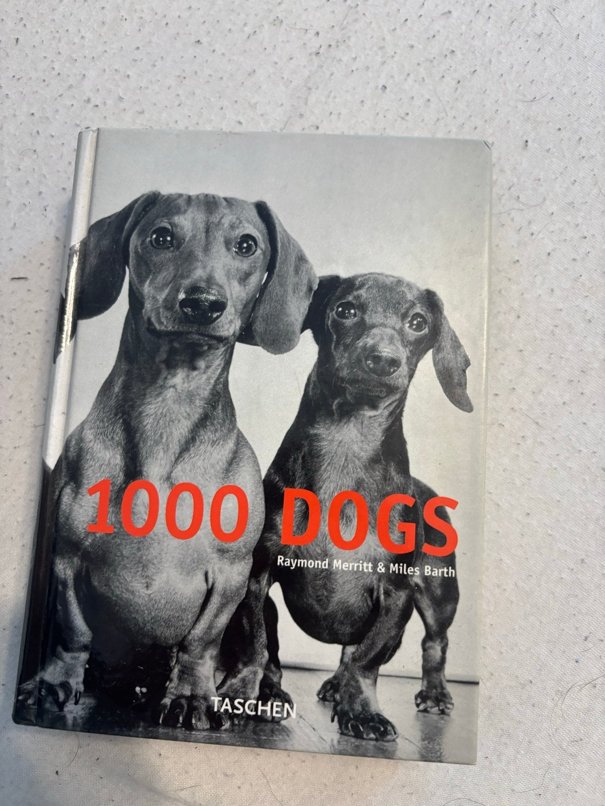 1000 Dogs - Raymond Merritt & Miles Barth (Taschen), Boeken, Ophalen, Zo goed als nieuw, Honden