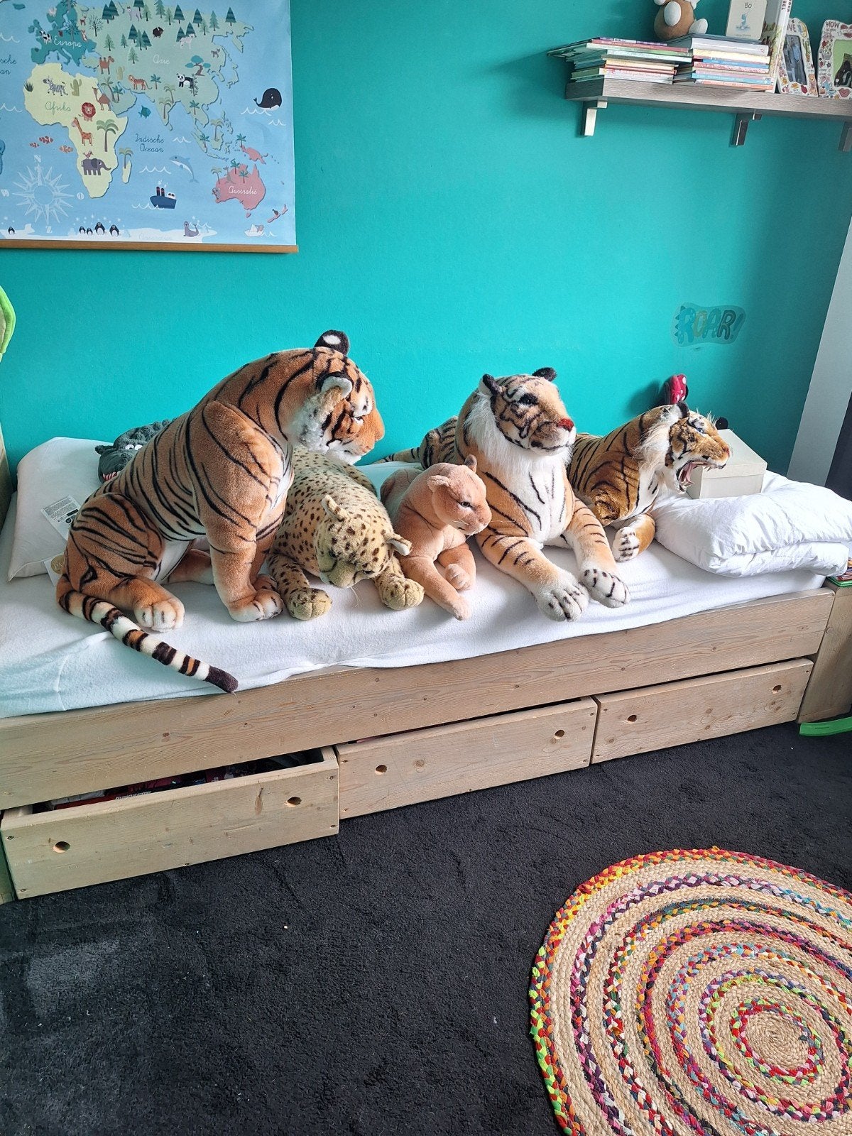 5 Grote Katten Knuffels - Zo goed als nieuw, Ophalen, Zo goed als nieuw, Bruin, Kat