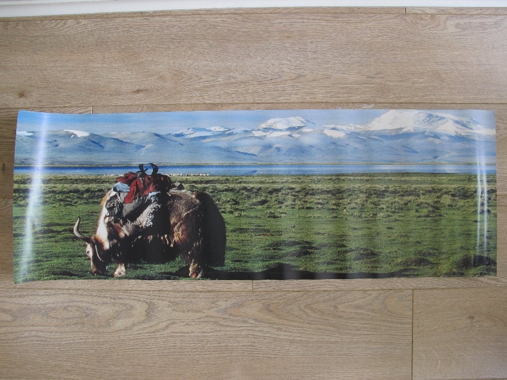 Grote vintage poster – yak in berglandschap – Tibet, Ophalen of Verzenden, Zo goed als nieuw, 75 tot 100 cm, Foto of Poster