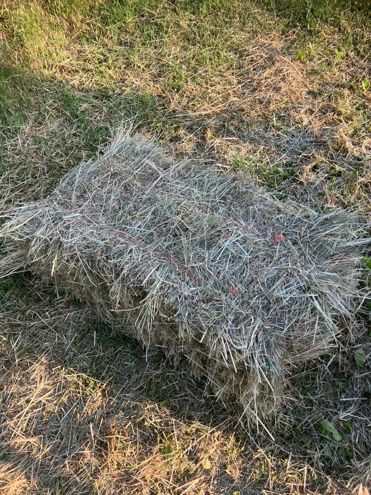 Hooi kleine balen, Dieren en Toebehoren, Ophalen of Verzenden
