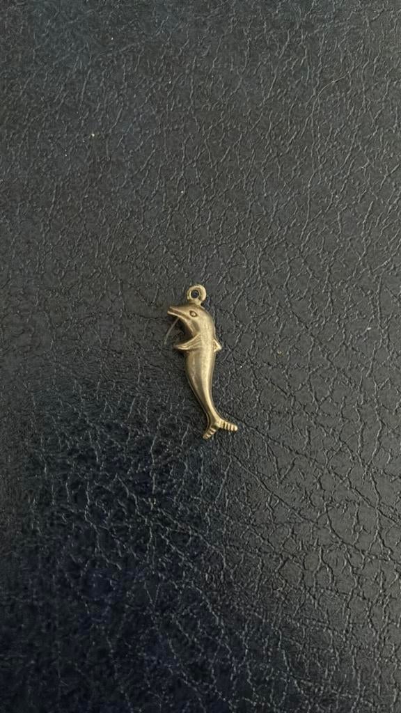 Zilver bedel dolfijn, Sieraden, Tassen en Uiterlijk, Bedels, Overige merken, Gebruikt, Ophalen of Verzenden, 1 bedel