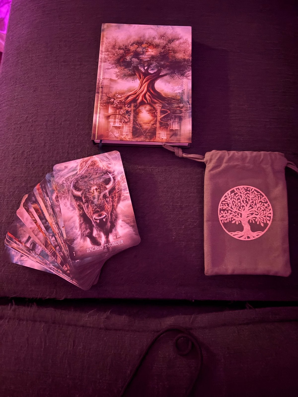 Forces of Nature Orakelkaarten & Notitieboek Tessa Smit, Ophalen of Verzenden, Zo goed als nieuw, Spiritualiteit algemeen, Overige typen