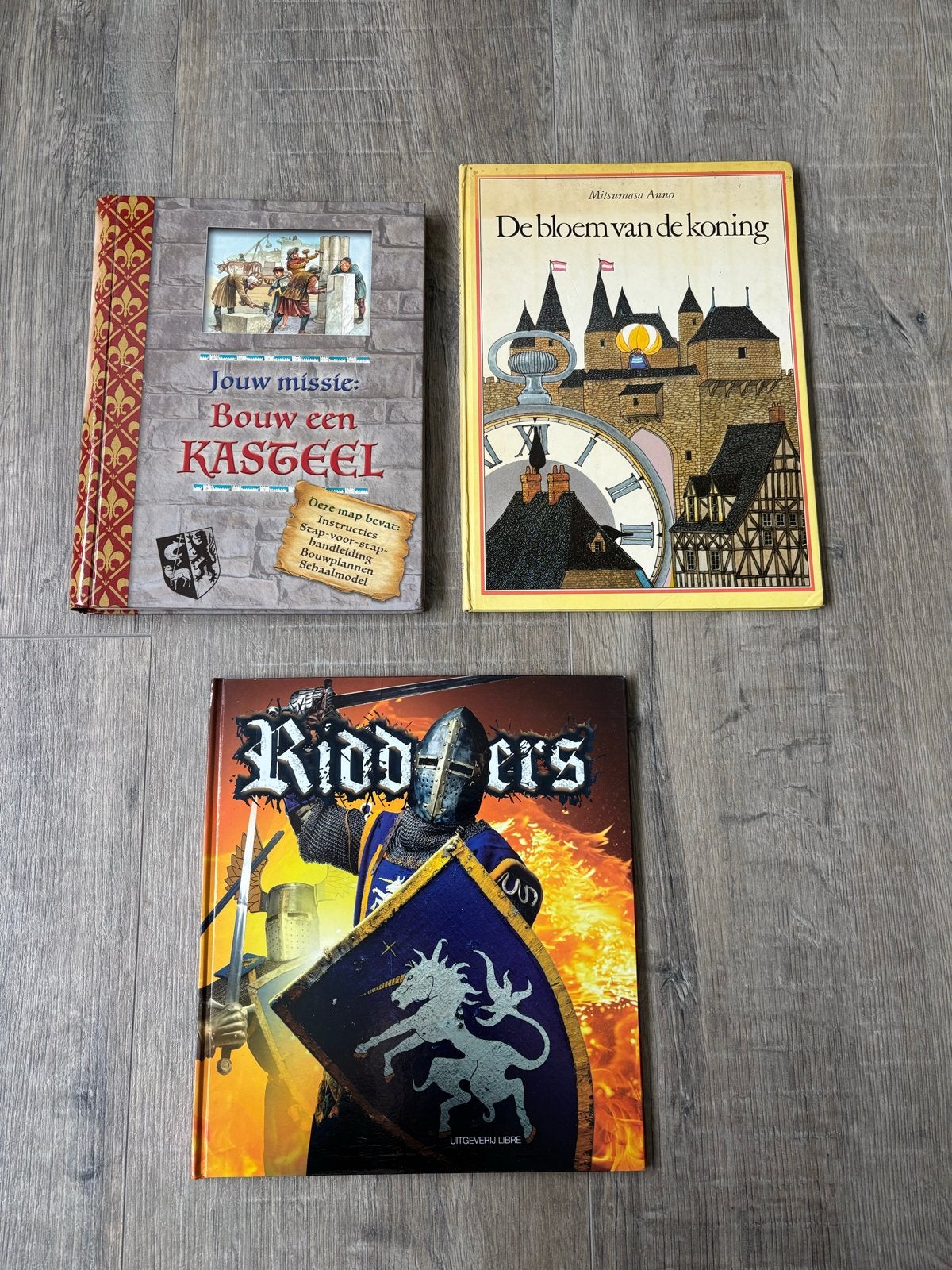 Boeken: Kastelen en Ridders, Ophalen of Verzenden, Gelezen, Non-fictie