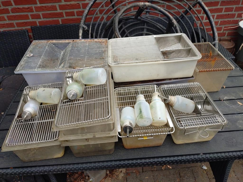 11 labbakken, Dieren en Toebehoren, Ophalen, Gebruikt
