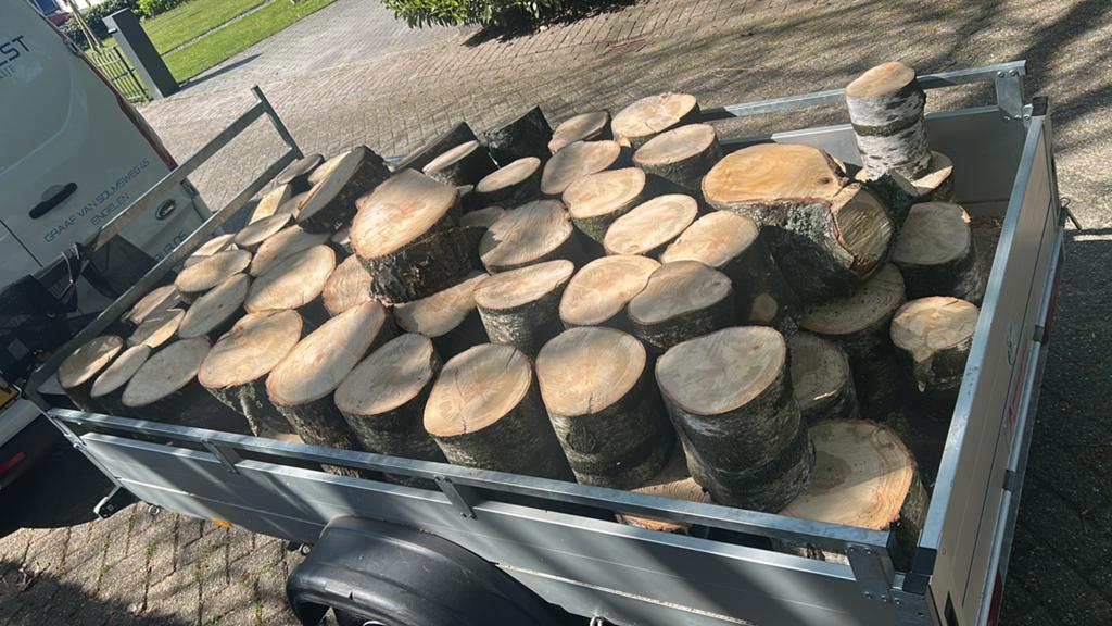 Haardhout, kachelhout, Tuin en Terras, Ophalen of Verzenden, Berkenhout