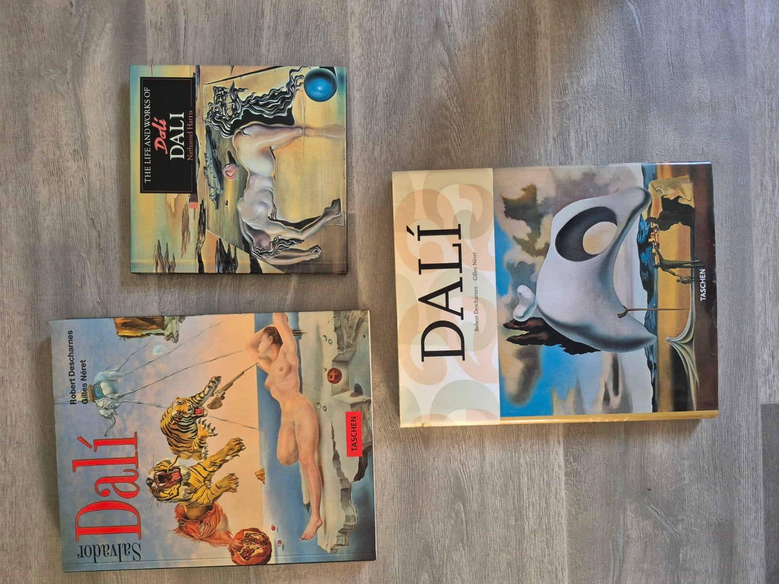 Kunstboeken: Dali, Eurographics, Evert Thielen, Ophalen of Verzenden
