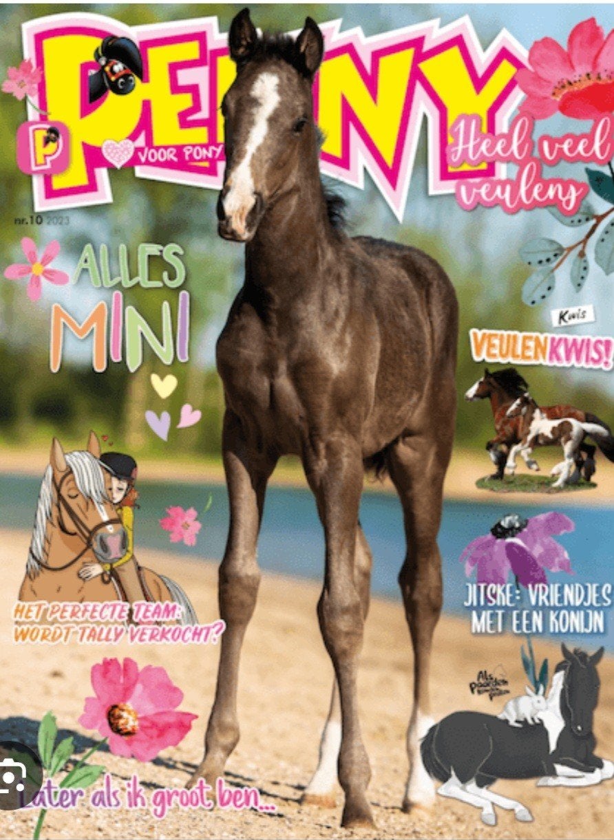Gratis penny's, Boeken, Meerdere comics, Ophalen, Gelezen, Europa