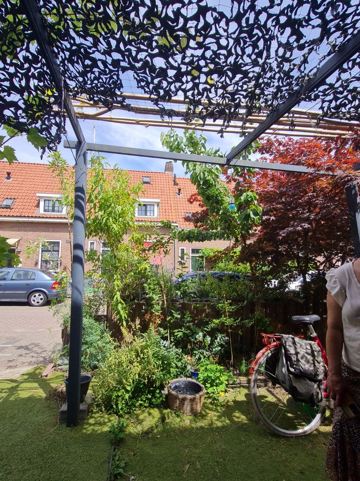 Kersenboom, Ophalen, Minder dan 100 cm, Overige soorten