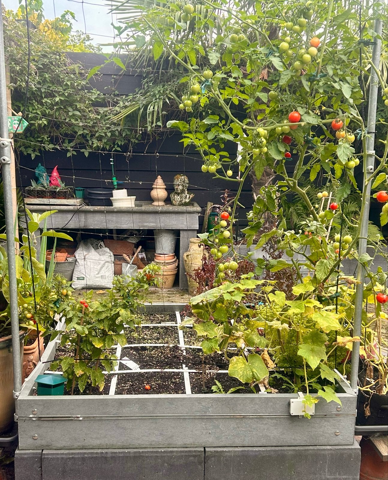 Makkelijke moestuin Hero160x160  waterreservoir en klimrek, Tuin en Terras, Ophalen, Gebruikt, Kweekbak