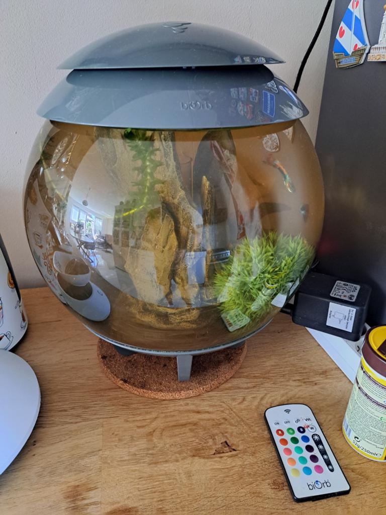 Leuke bijorp aquarium., Ophalen of Verzenden, Leeg aquarium