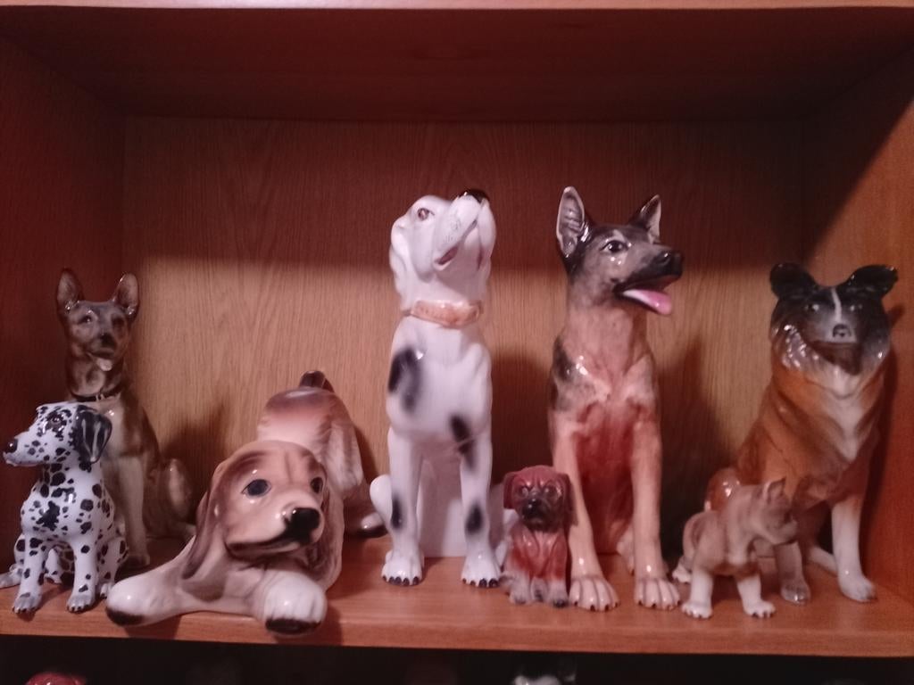 Beelden hond, Ophalen of Verzenden, Zo goed als nieuw, Dier
