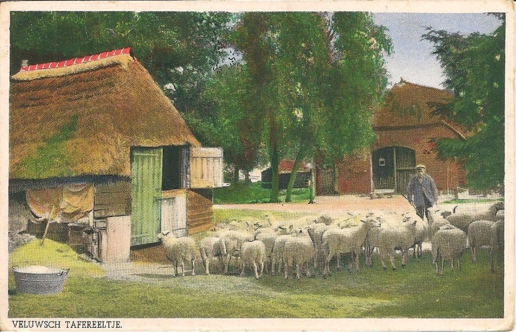 Veluwsch Tafereeltje  De Veluwe Schapen boerderij, Ophalen of Verzenden, 1940 tot 1960, Ongelopen, Gelderland