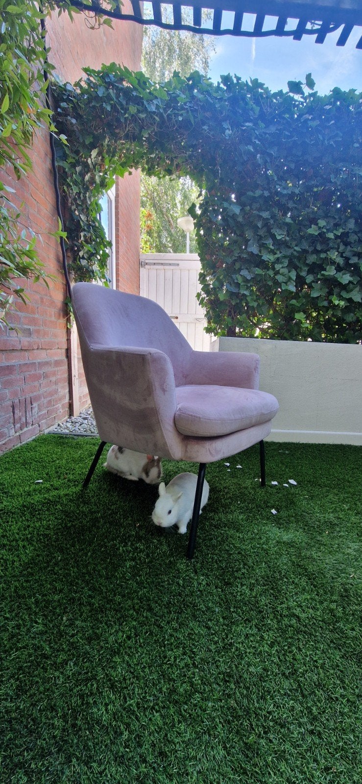 Roze velvet  fauteuil, Ophalen, Gebruikt, Minder dan 75 cm, Overige materialen