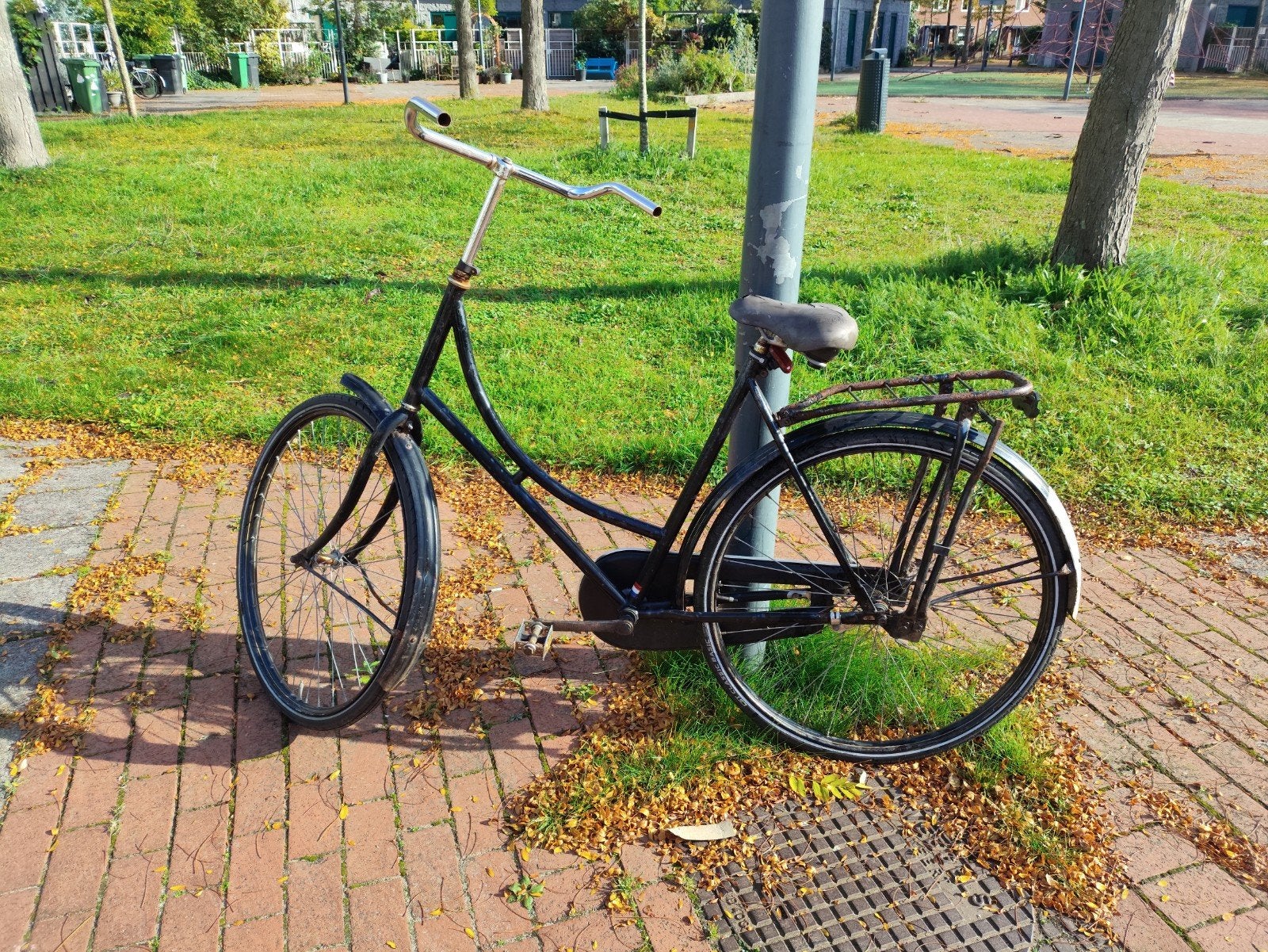 omafiets - Ideaal als stationsfiets, Ophalen, Gebruikt, Terugtraprem, Overige merken
