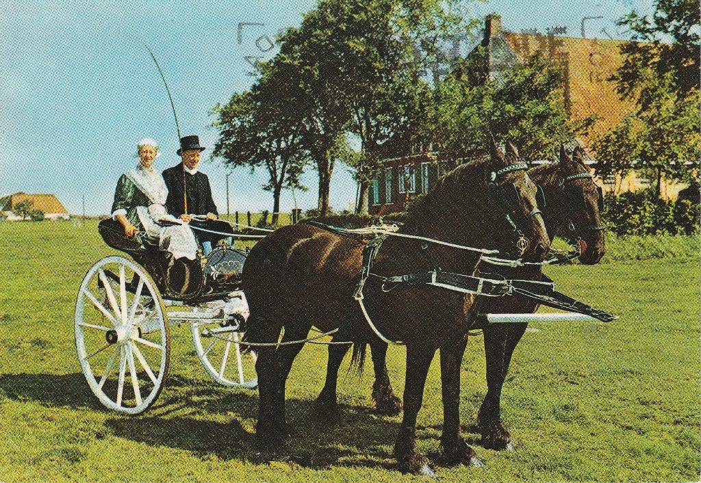 Friese klederdracht op de sjees - 1981, Ophalen of Verzenden, 1980 tot heden, Gelopen, Klederdracht