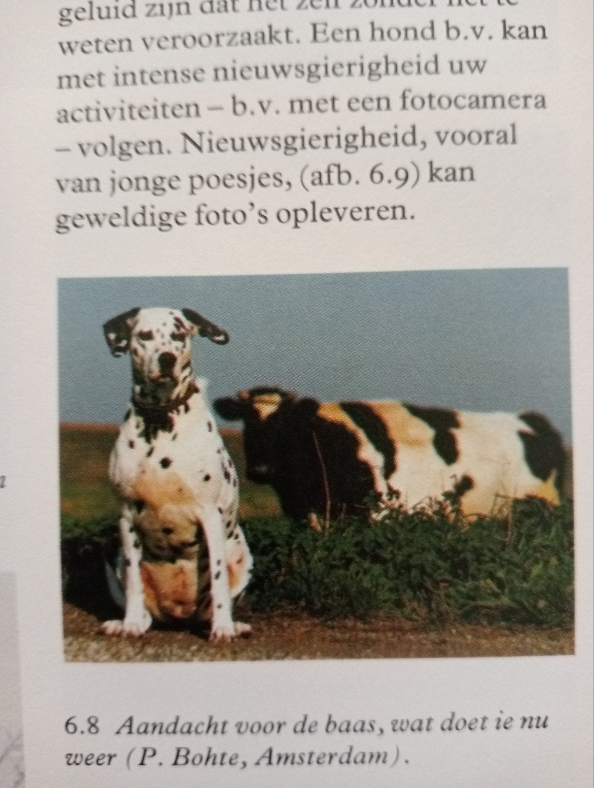 Fotograferen en Filmen - Handboek voor fotografie, Ophalen of Verzenden, Gelezen, Fotografie algemeen, Onbekend