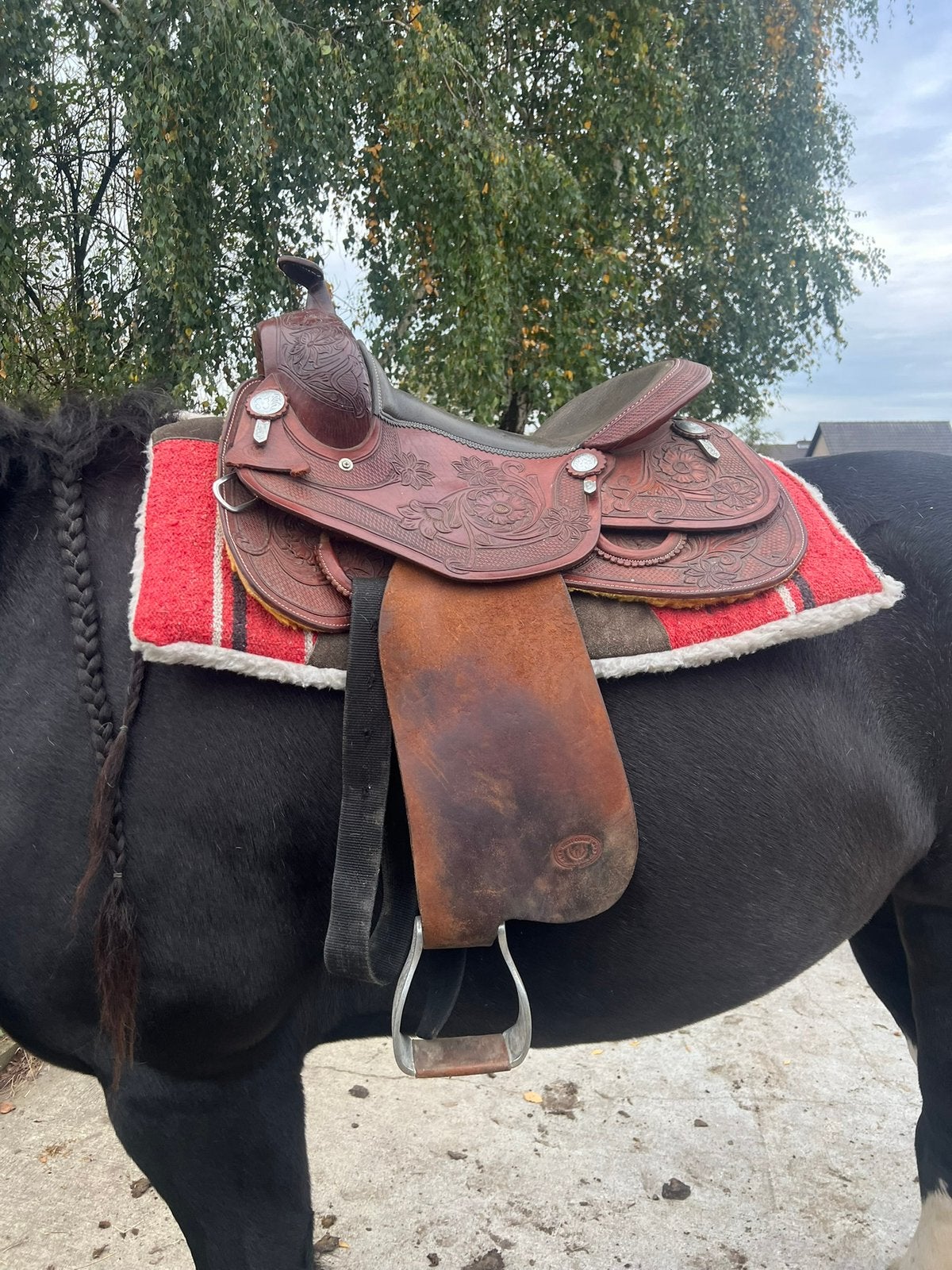 Westernzadel, Ophalen of Verzenden, Overige disciplines