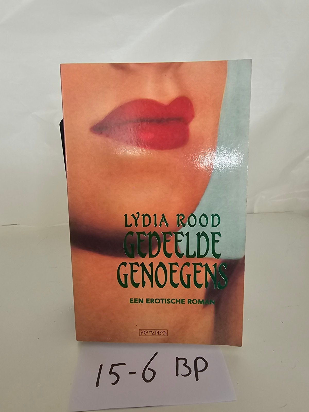 Gedeelde Genoegens - Lydia Rood (Erotische Roman), Boeken, Ophalen of Verzenden, Gelezen, Lydia Rood, Nederland
