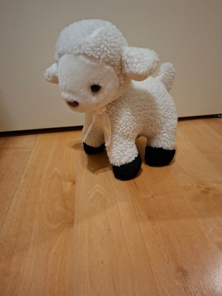 Schattig knuffeltje schaap, Ophalen of Verzenden, Zo goed als nieuw, Overige typen