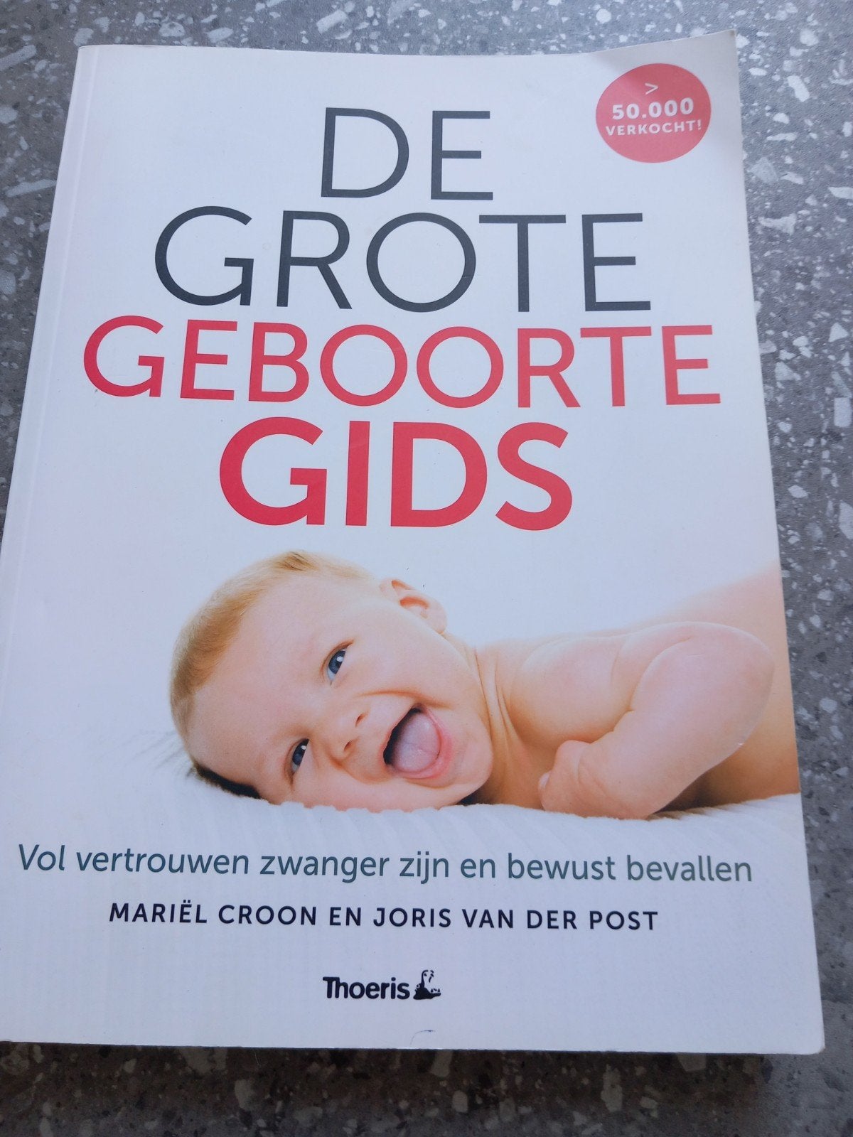De Grote Geboorte Gids: Zwangerschap en Bevalling, Boeken, Ophalen of Verzenden, Zo goed als nieuw, Zwangerschap en Bevalling