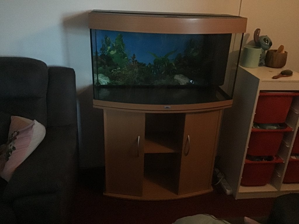 Juwel aquarium, Ophalen, Gebruikt, Overige merken, Leeg aquarium