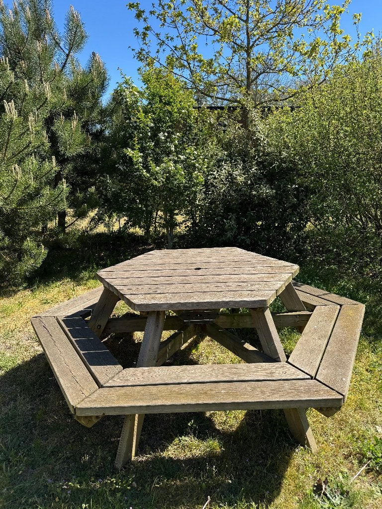 Picknick tafel, Ophalen of Verzenden, Gebruikt, Ovaal, Hout