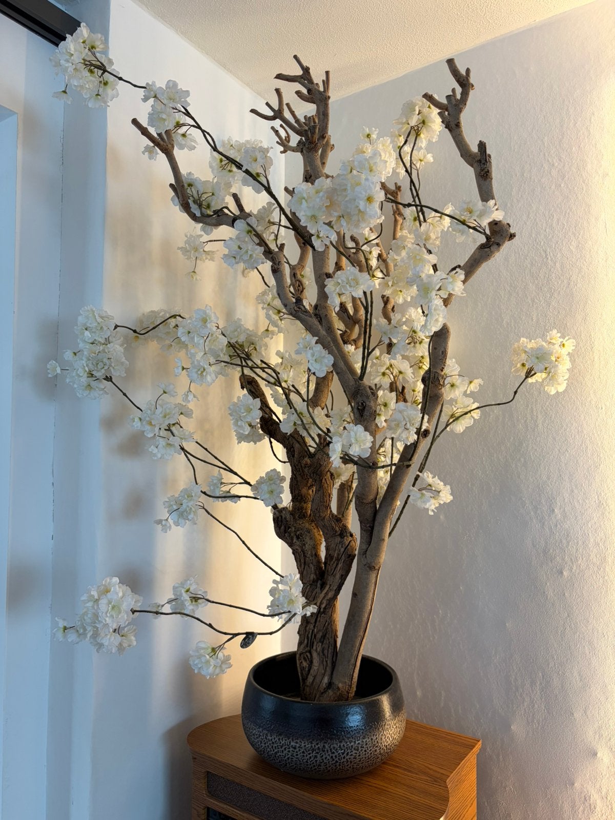 Kunst Bloesemboom wit seta fiori boom rituals boom, Ophalen, Zo goed als nieuw