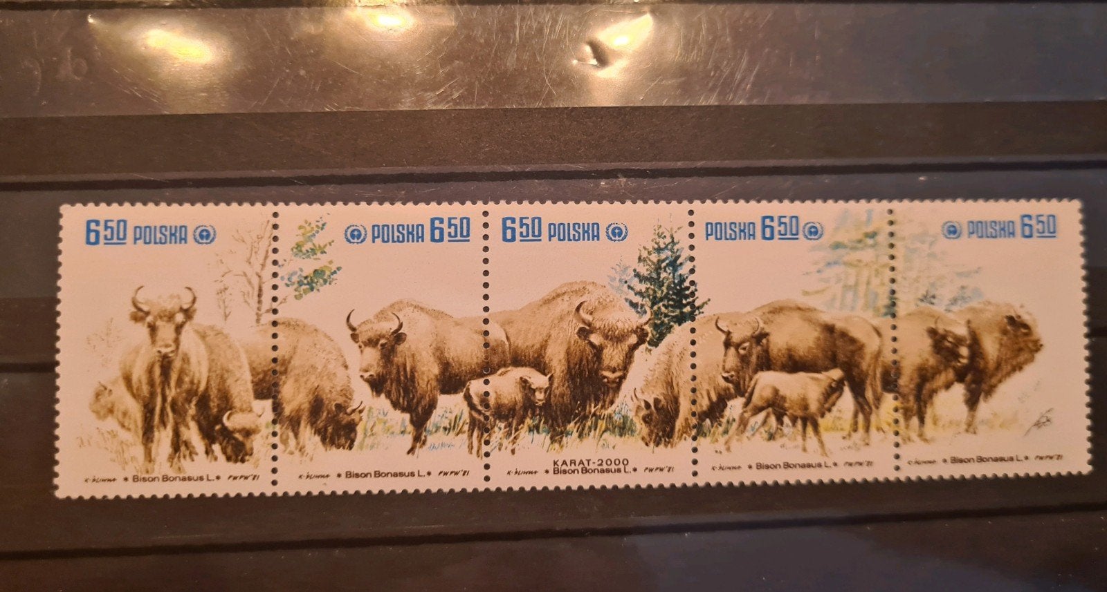 Polen Bison Bonansus 1981 postfris, Ophalen of Verzenden, Polen, Postfris