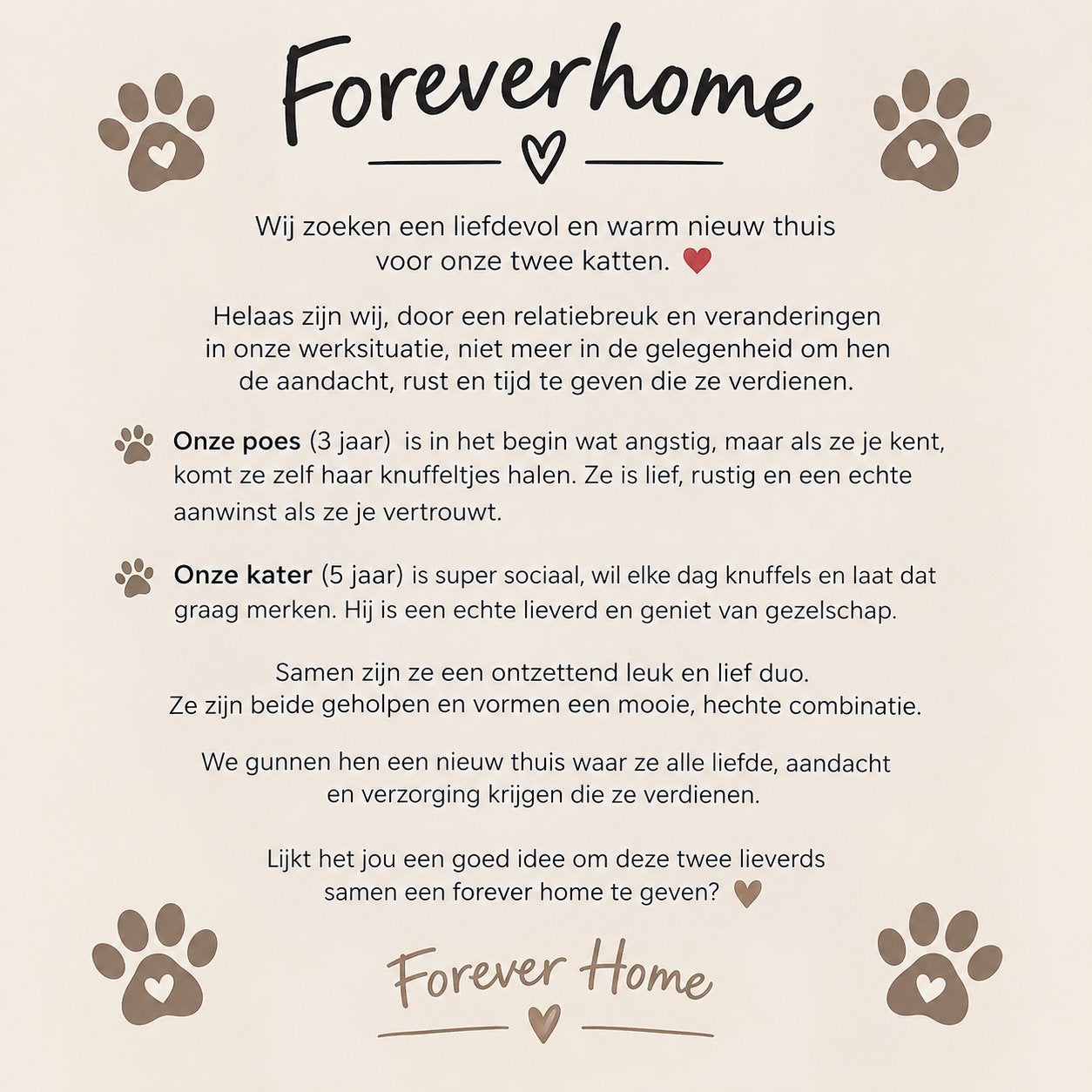 Forever home voor mijn poes en kat, Dieren en Toebehoren, Meerdere dieren