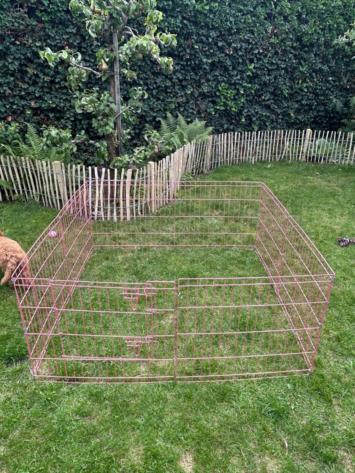 Puppy ren - roze, Ophalen, Gebruikt, Hondenren