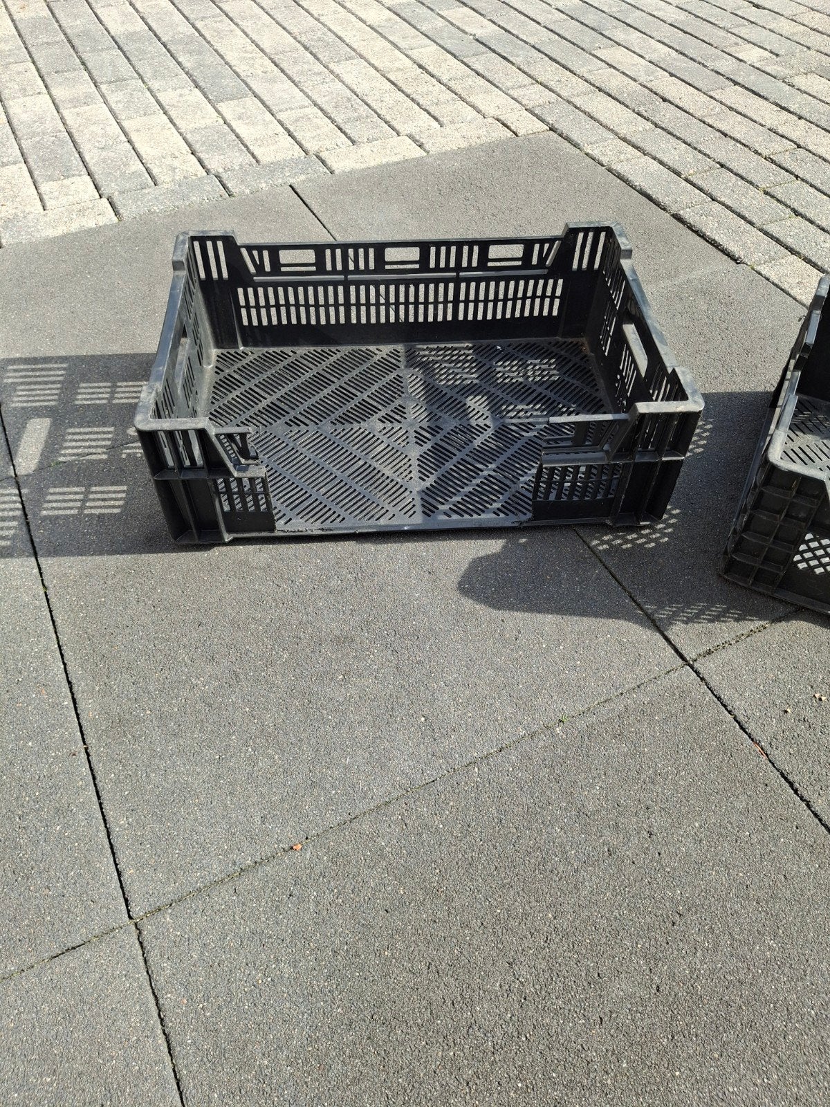 Zwarte kunststof kratten, ideaal voor opslag en transport, Ophalen, Gebruikt, 40 tot 60 cm, 50 tot 75 cm