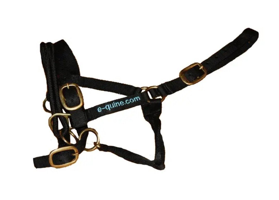 Gezocht E-quine trainingshalster medium (blauw), Ophalen of Verzenden