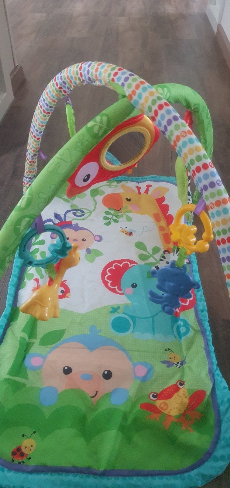 Fisher-Price Speelkleed met Babygym - Jungle Thema, Ophalen