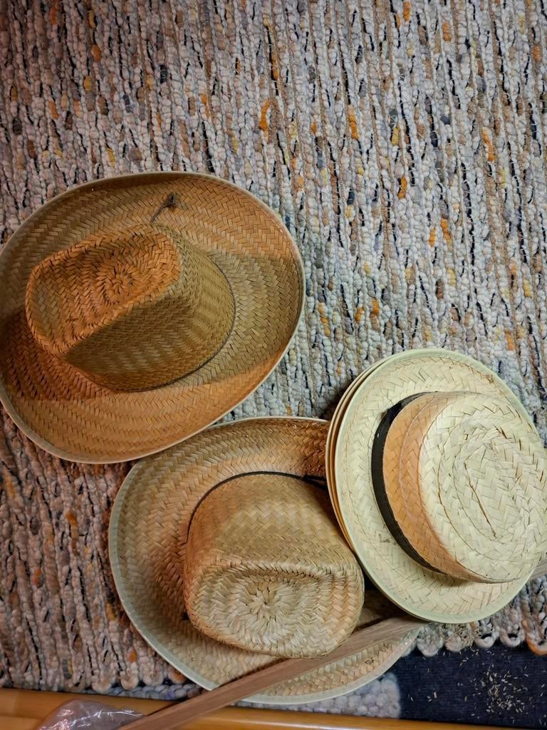 Hoedjes van riet, Kleding | Dames, Hoeden en Petten, Ophalen of Verzenden, Gedragen, One size fits all, Hoed