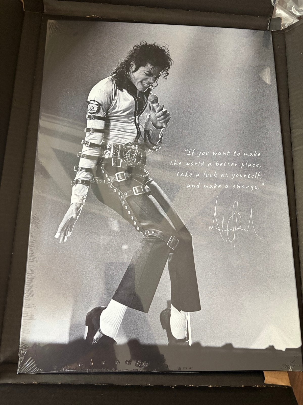 Michael Jackson magnetische poster Nieuw in doos, Ophalen, Poster, Print/reproductie