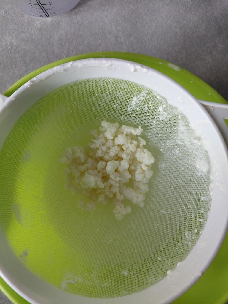 Kefir melkkefir korrels, Diversen, Levensmiddelen, Ophalen of Verzenden