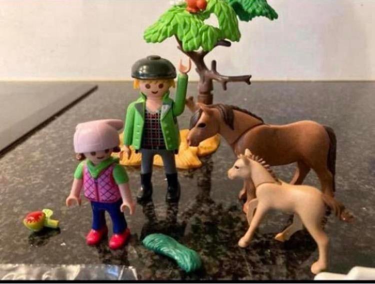 Playmobil 6949 dierenarts met pony’s, Ophalen of Verzenden, Zo goed als nieuw