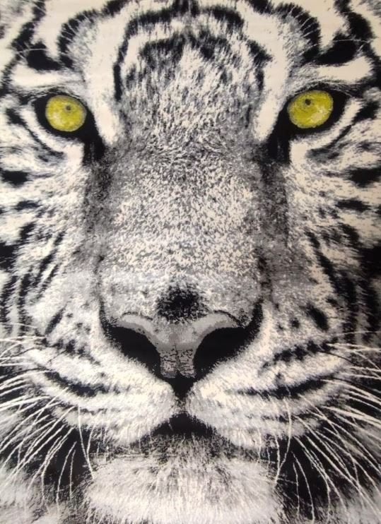Karpetten nieuw | 160 x 225 cm | Witte tijger | nieuw, Huis en Inrichting, Stoffering | Tapijten en Kleden, Nieuw, 150 tot 200 cm