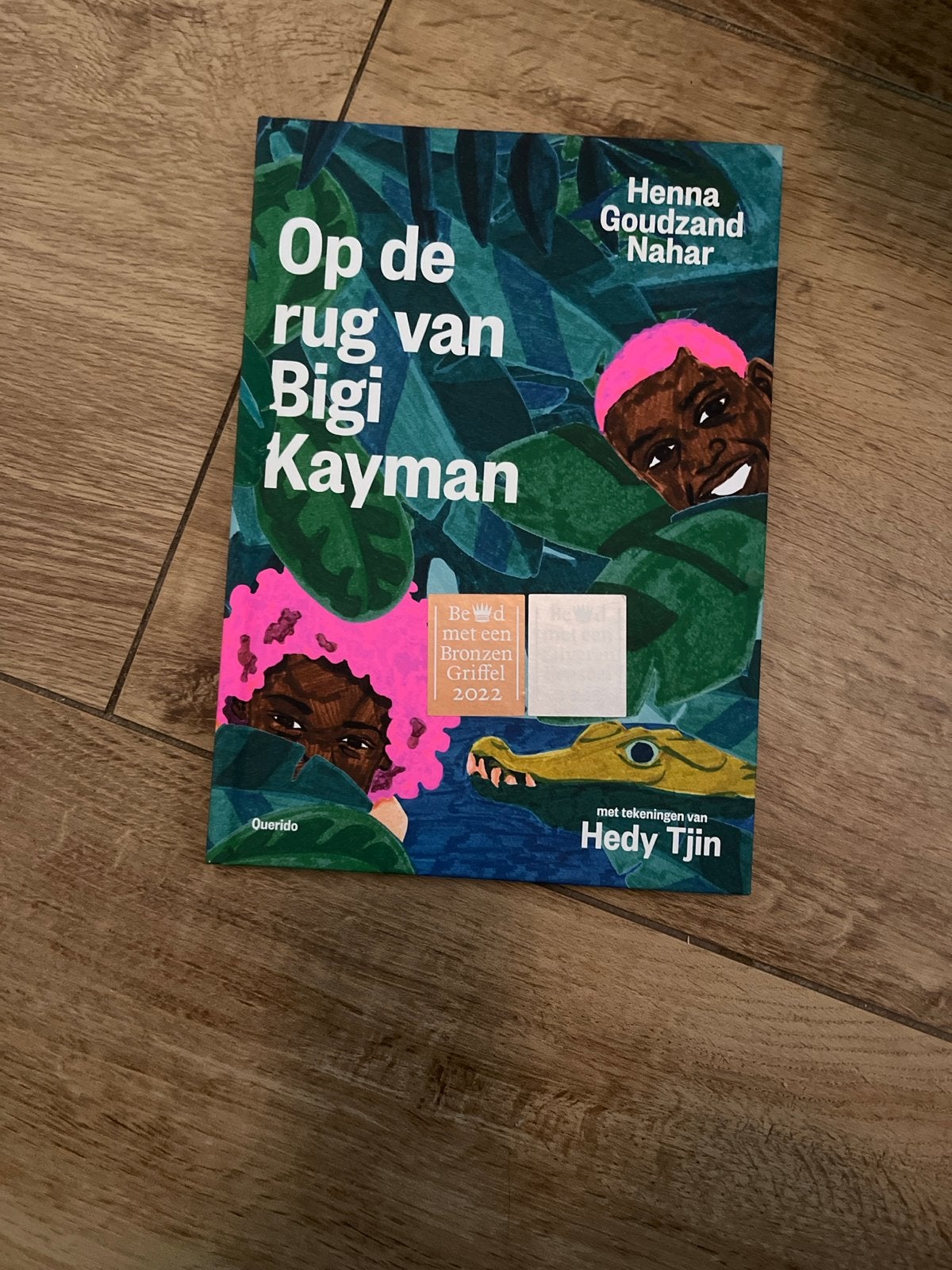 Op de rug van Bigi Kayman - Henna Goudzand Nahar, Ophalen of Verzenden, Zo goed als nieuw, Fictie