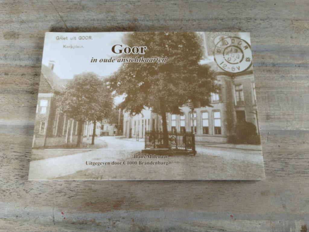 Goor in oude ansichtkaarten - Hans Molenaar, Ophalen of Verzenden, 20e eeuw of later, Zo goed als nieuw, Hans Molenaar